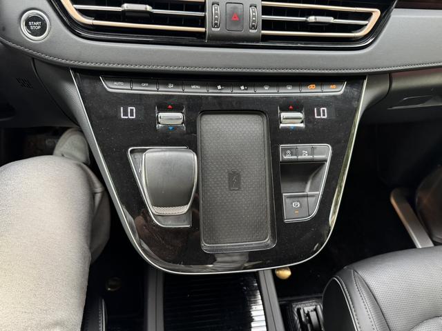 HongQi HQ9 2023 car image #34