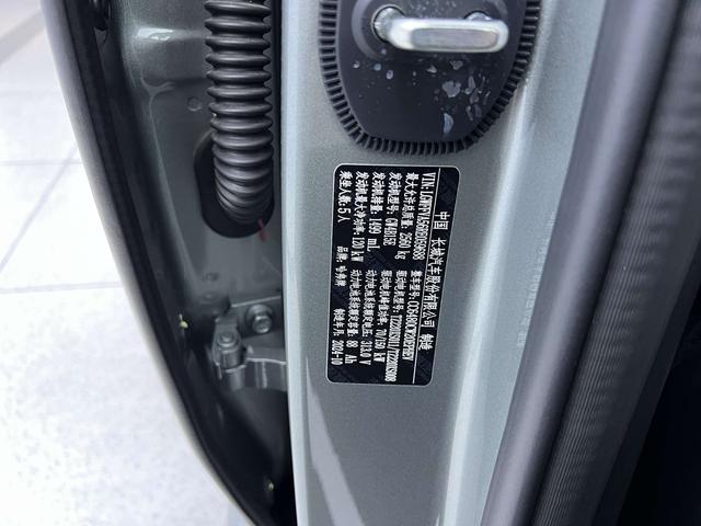 Haval Raptor New Energy 2024 car image #34