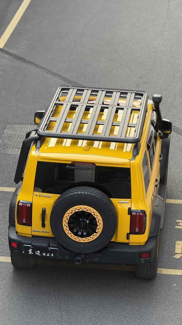 Tank 300 2022 imagen de coche #34