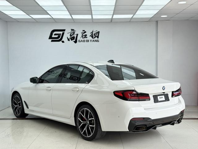 BMW 5 Series (Imported) 2020 car image #34