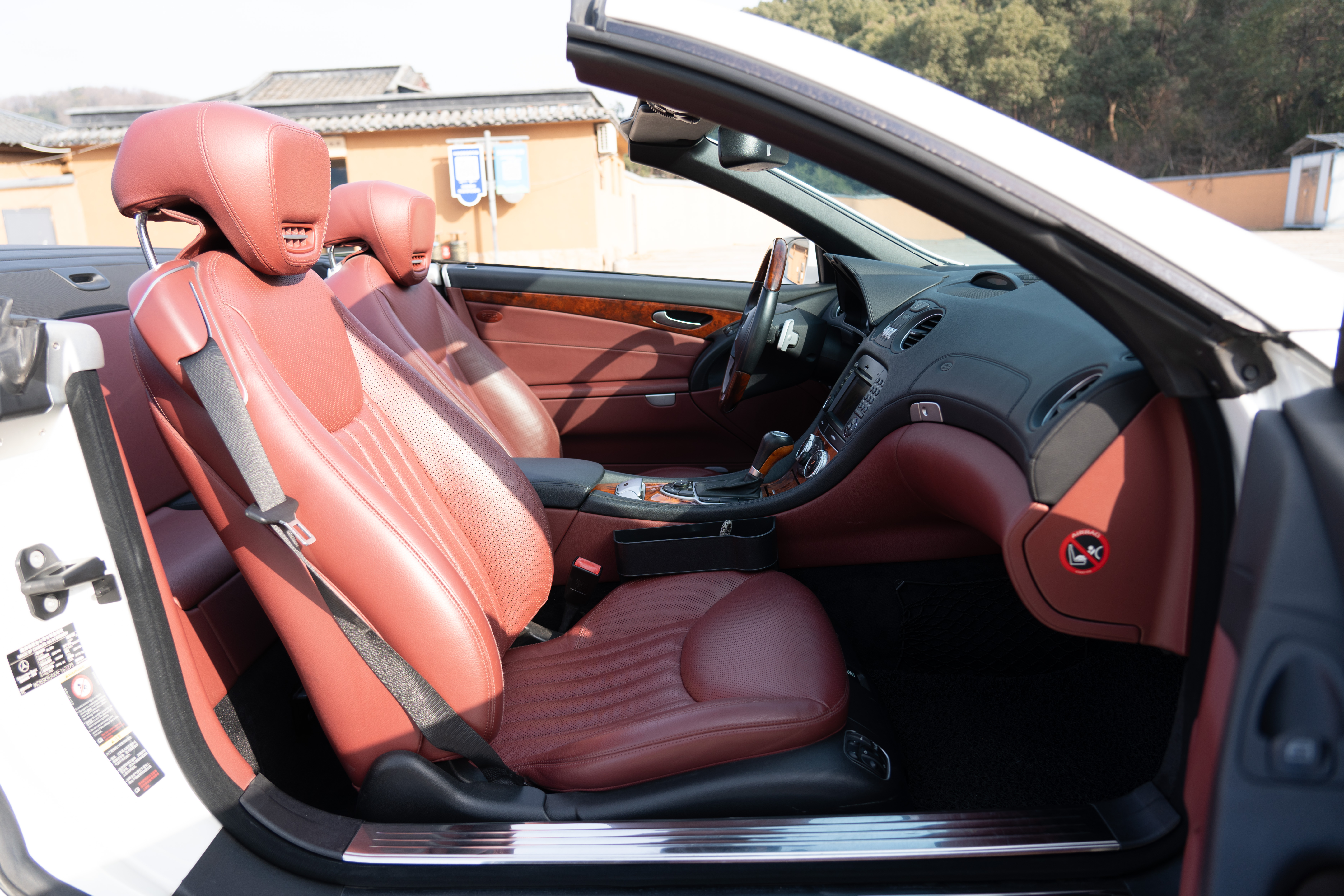 Mercedes-Benz SL Class 2010 immagine di auto #34