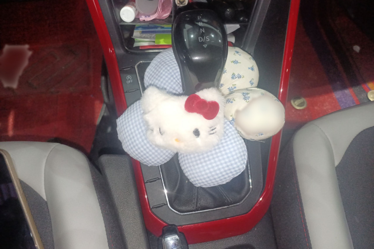 大众 Polo 2021 汽车图片 #34