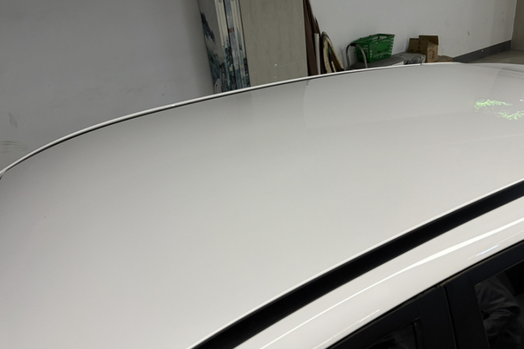 Neta V 2023 imagen de coche #34