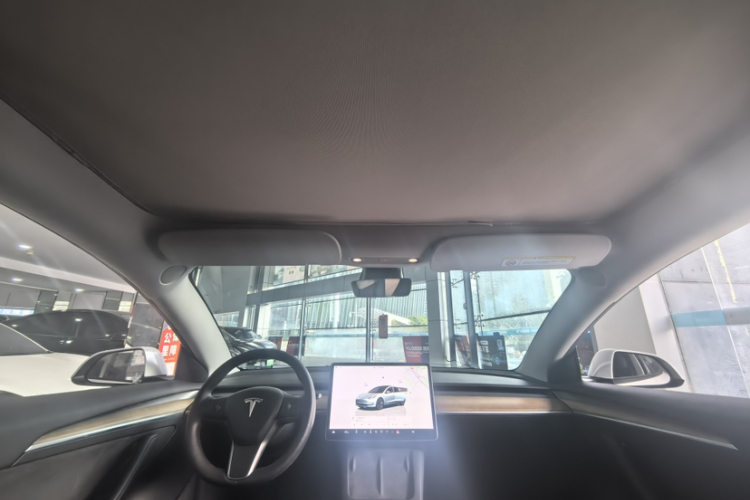 Tesla Model 3 2022 #34 Tesla Model 3 2022 صورة سيارة #34