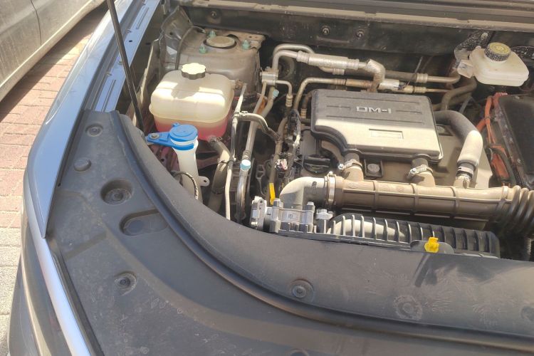 BYD Sea Lion 05 DM-i 2025 car image #34