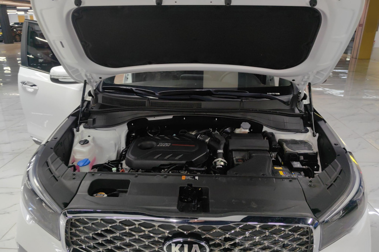 起亚 起亚KX7 2022 汽车图片 #34