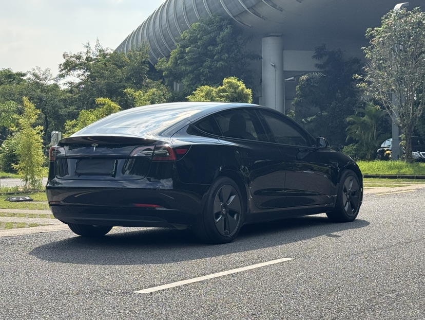 Tesla Model 3 2021 car image #4