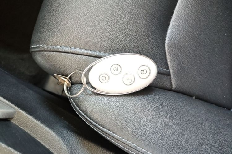 BYD Yuan New Energy 2019 car image #9