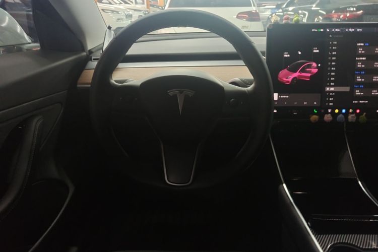 Tesla Model 3 2020 car image #11