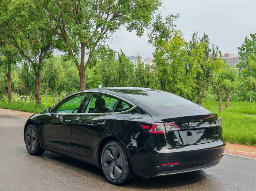 Tesla Model 3 2020 car image #6