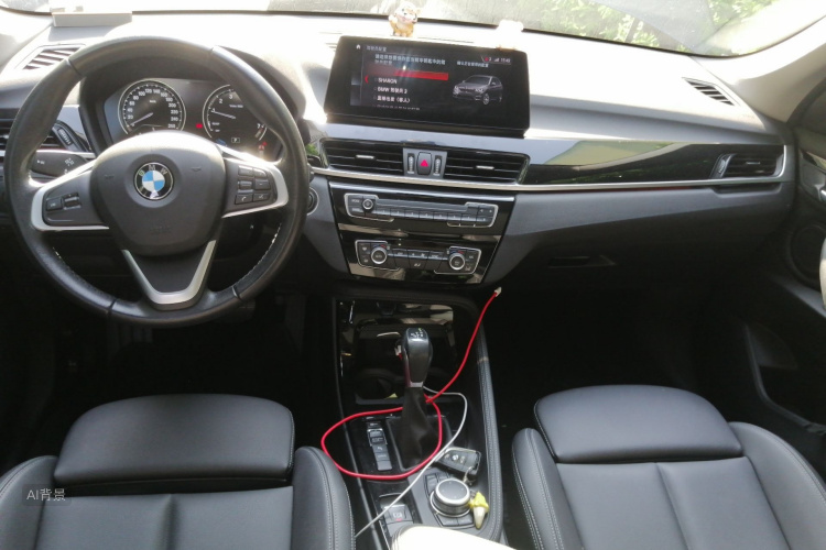 BMW X1 New Energy 2020 car image #11