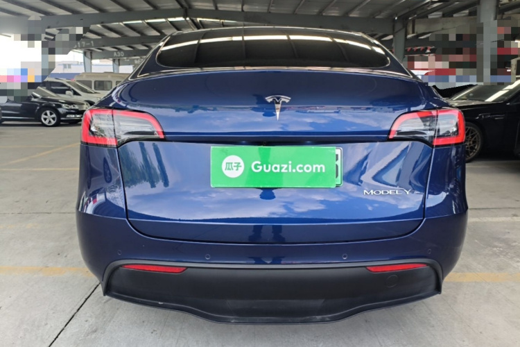 Tesla Model Y 2021 car image #6