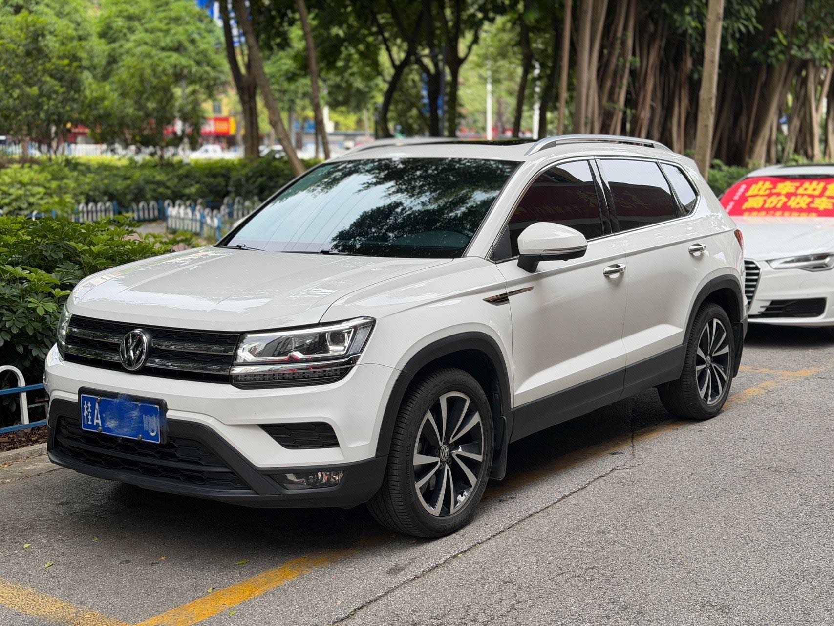 2019 imagen de coche 