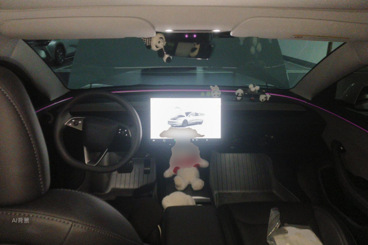 Tesla Model 3 2023 car image #11