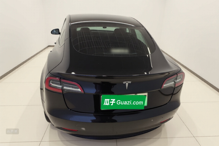 Tesla Model 3 2020 car image #6