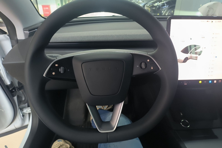 Tesla Model 3 2025 car image #11