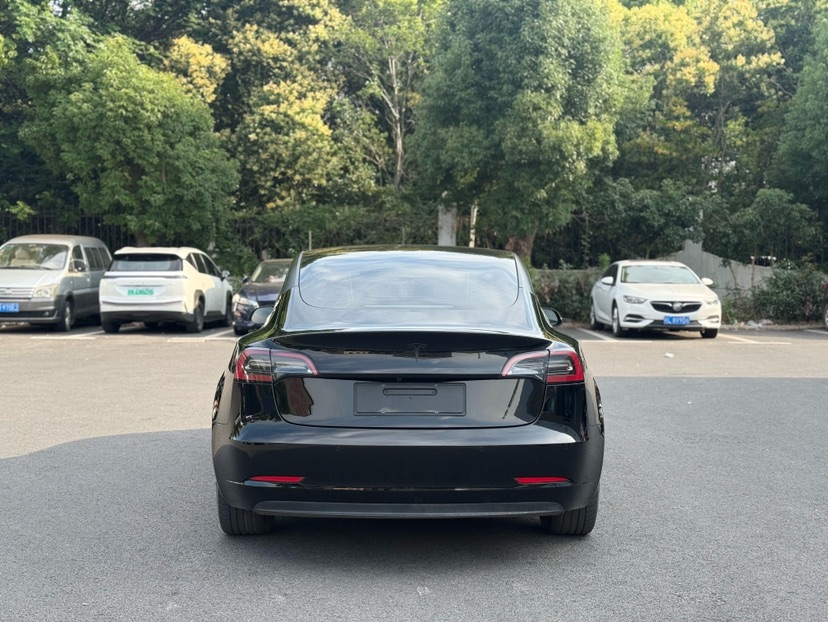 Tesla Model 3 2022 #8 Tesla Model 3 2022 car image #8