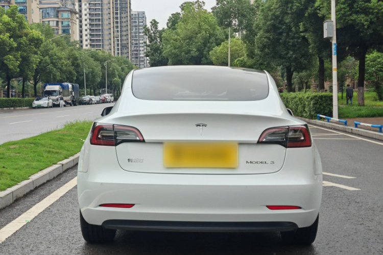 Tesla Model 3 2023 car image #7