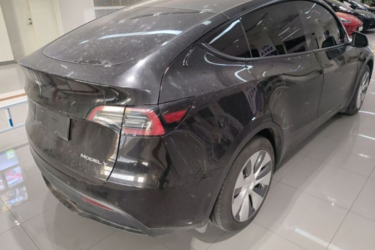 Tesla Model Y 2023 #7 Tesla Model Y 2023 car image #7