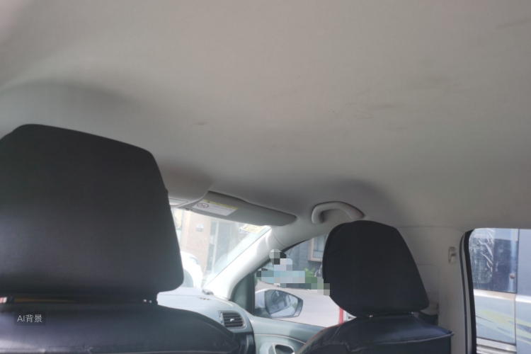 Volkswagen Polo 2015 car image #20