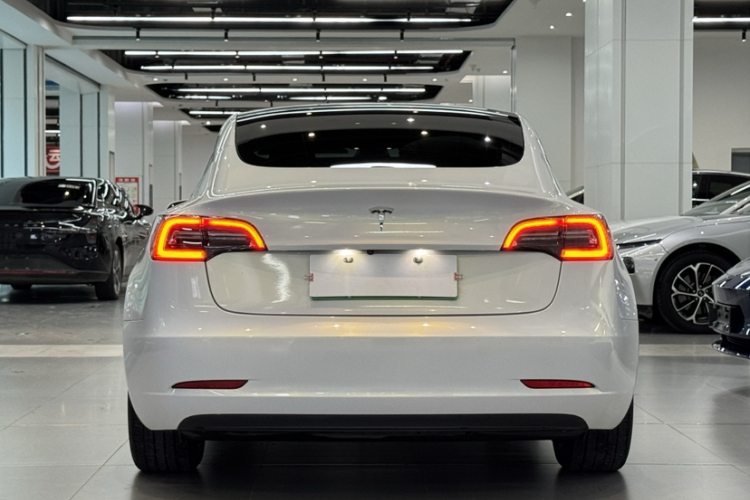 Tesla Model 3 2022 #4 Tesla Model 3 2022 car image #4