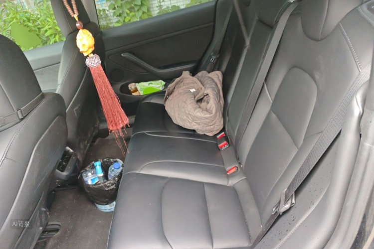 Tesla Model 3 2022 car image #19