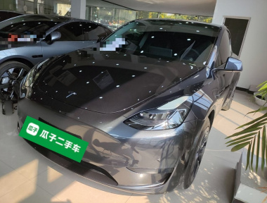 Tesla Model Y 2024 car image 