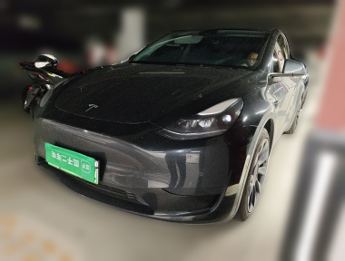 Tesla Model Y 2022 car image 
