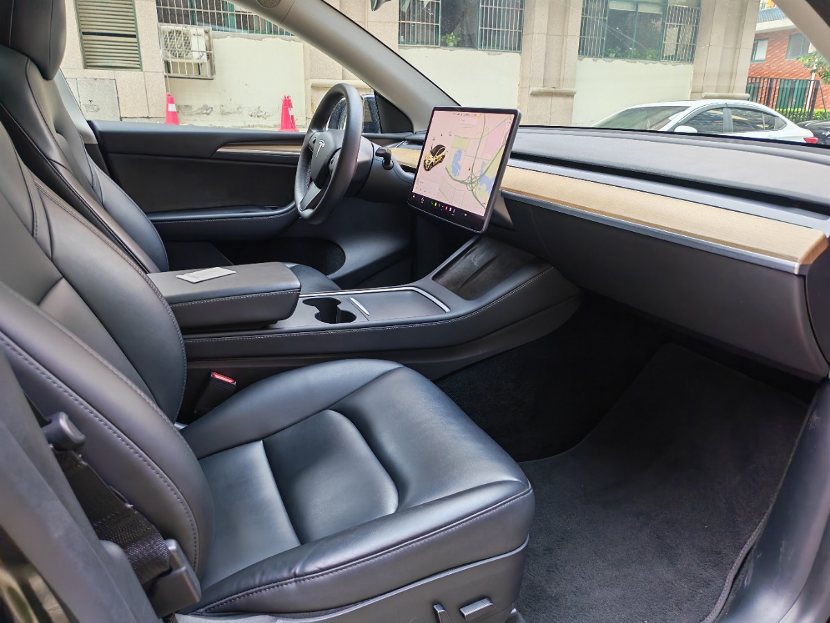 Tesla Model Y 2021 car image #12
