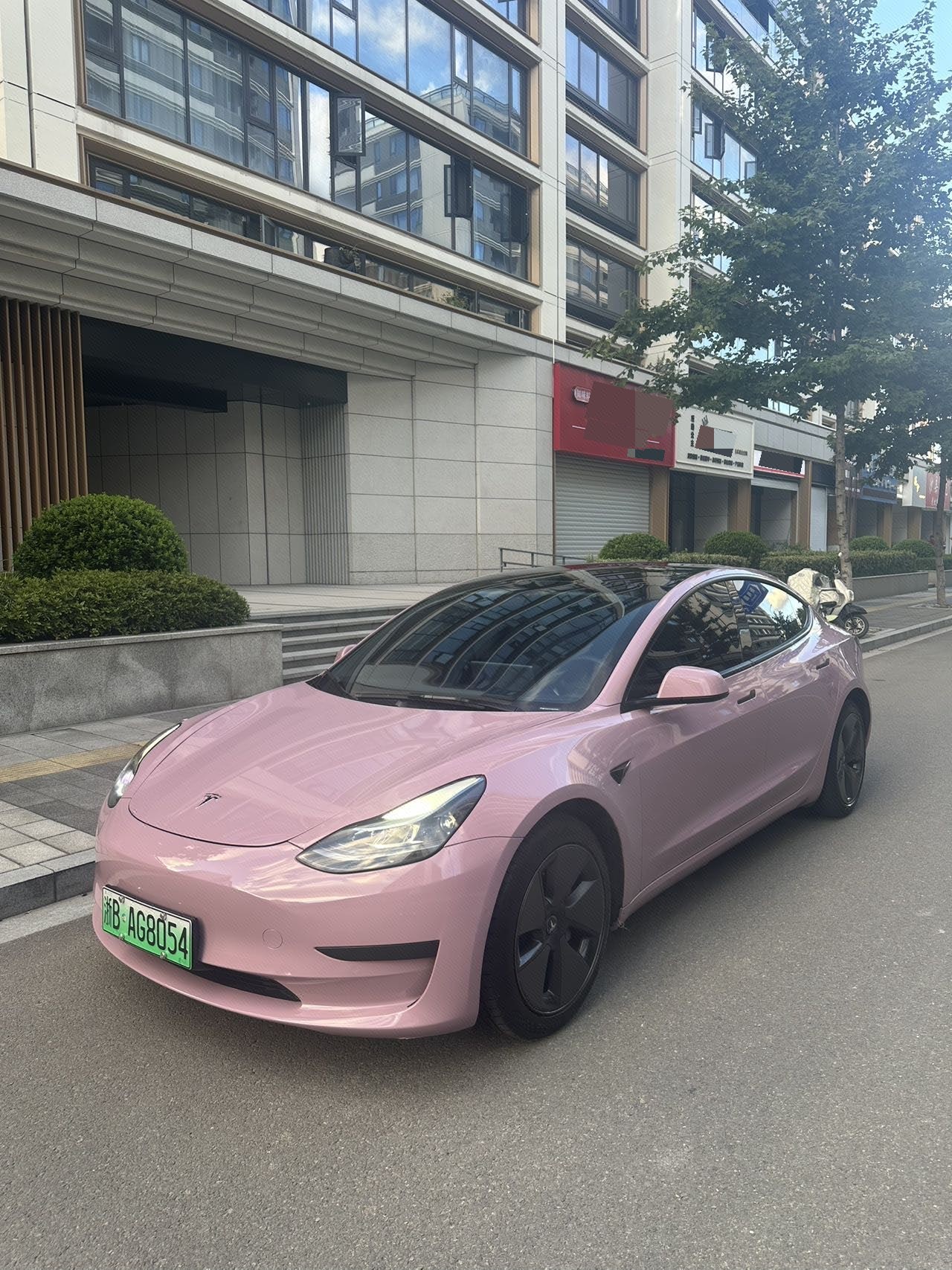 Tesla Model 3 2021 Tesla Model 3 2021 car image