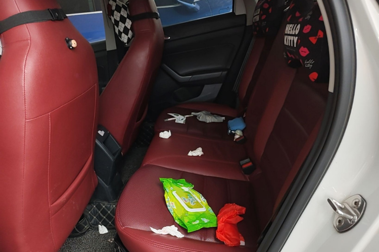 Volkswagen Polo 2020 car image #17