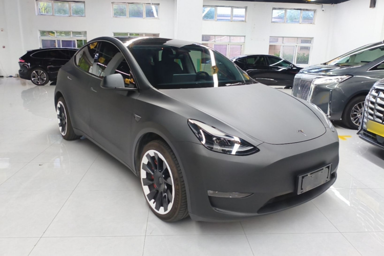 Tesla Model Y 2021 car image #6