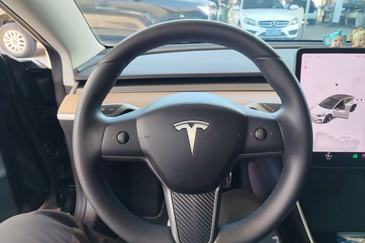 Tesla Model 3 2020 #15 Tesla Model 3 2020 car image #15
