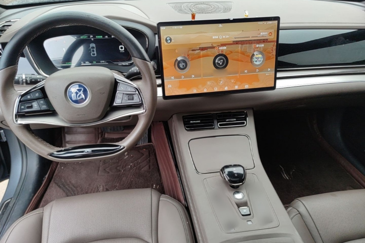BYD Han 2022 #10 BYD Han 2022 immagine di auto #10