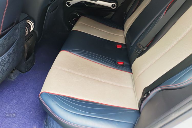 BYD Yuan Plus 2022 car image #19