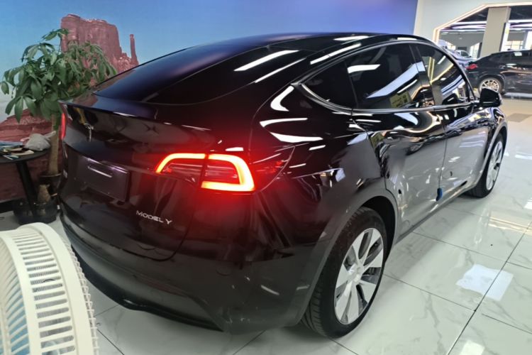 Tesla Model Y 2023 #7 Tesla Model Y 2023 car image #7