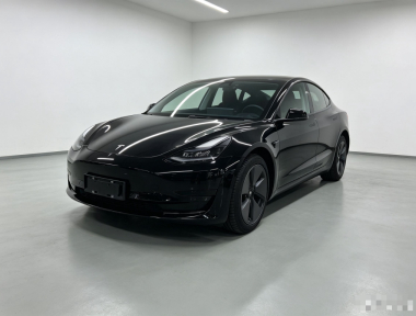 Tesla Model 3 2023 Tesla Model 3 2023 car image