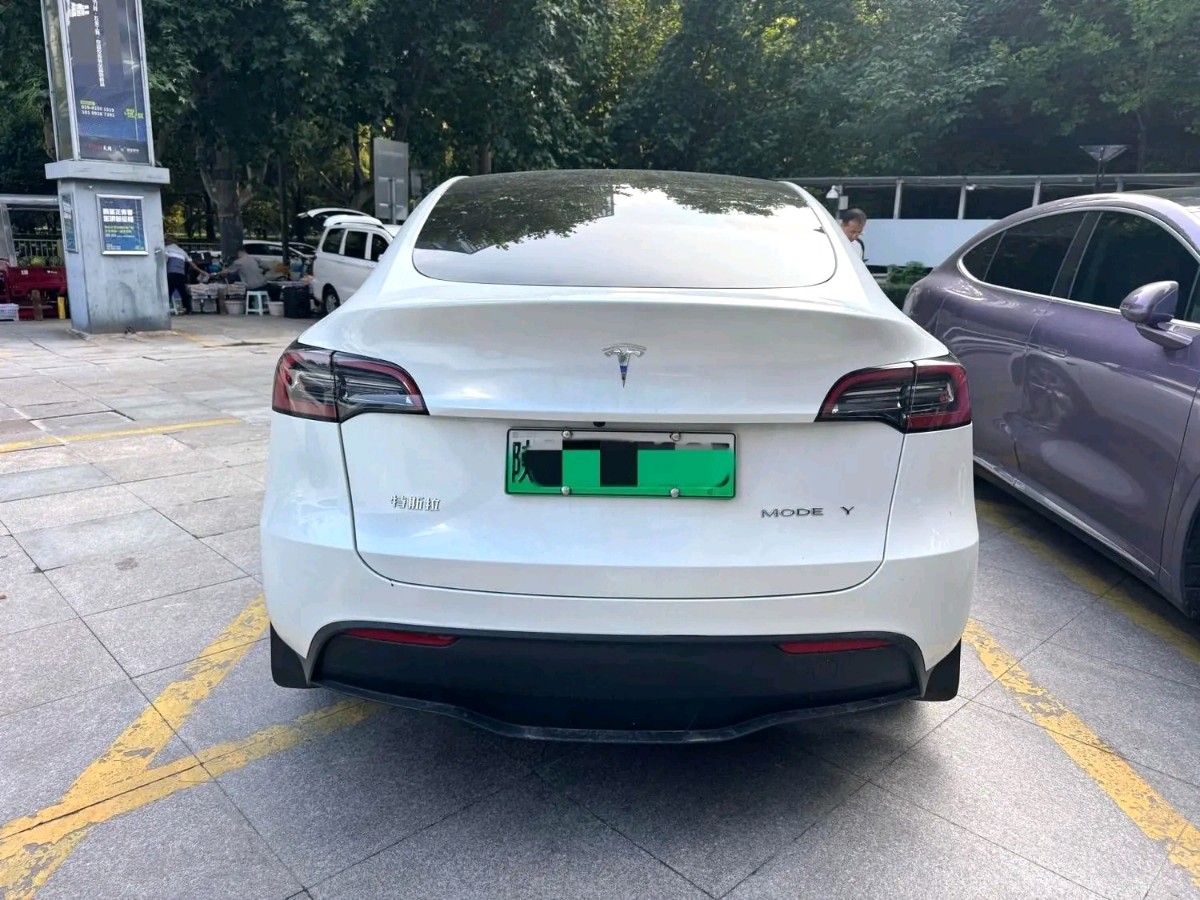 Tesla Model Y 2023 #8 Tesla Model Y 2023 car image #8