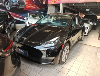 Tesla Model Y 2021 Tesla Model Y 2021 car image