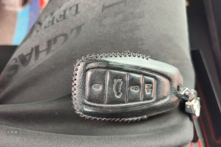 GEELY Emgrand GL 2020 car image #10