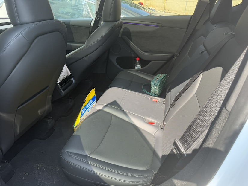 Tesla Model Y 2025 car image #3