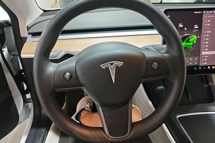 Tesla Model 3 2022 #11 Tesla Model 3 2022 car image #11