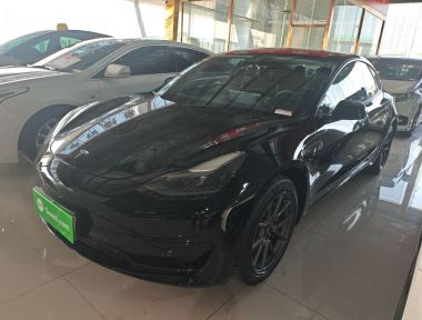 Tesla Model 3 2022 Tesla Model 3 2022 car image