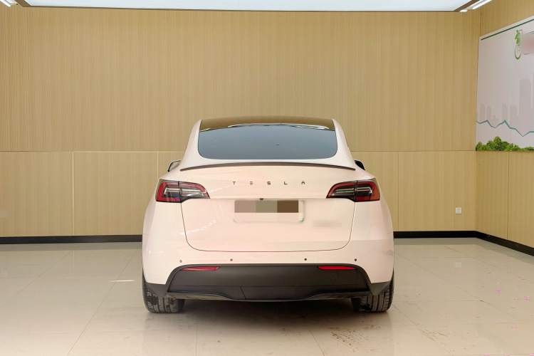 Tesla Model Y 2021 car image #4