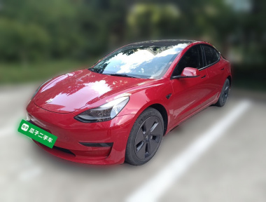 Tesla Model 3 2021 Tesla Model 3 2021 immagine di auto