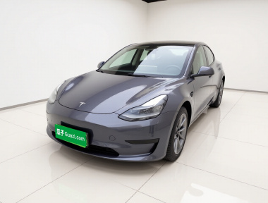 Tesla Model 3 2022 Tesla Model 3 2022 car image