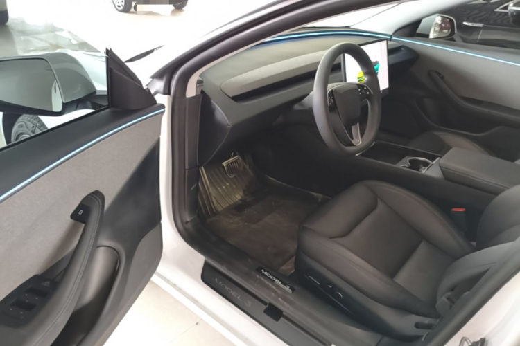 Tesla Model 3 2025 immagine di auto #16