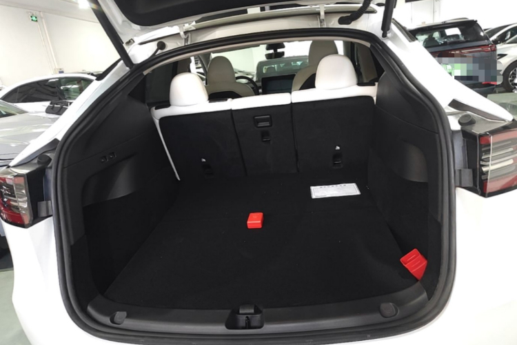 Tesla Model Y 2023 car image #19