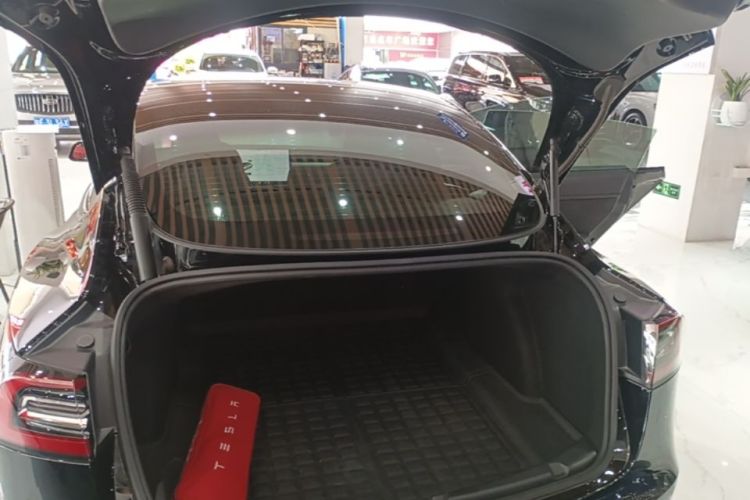 Tesla Model 3 2021 #21 Tesla Model 3 2021 car image #21