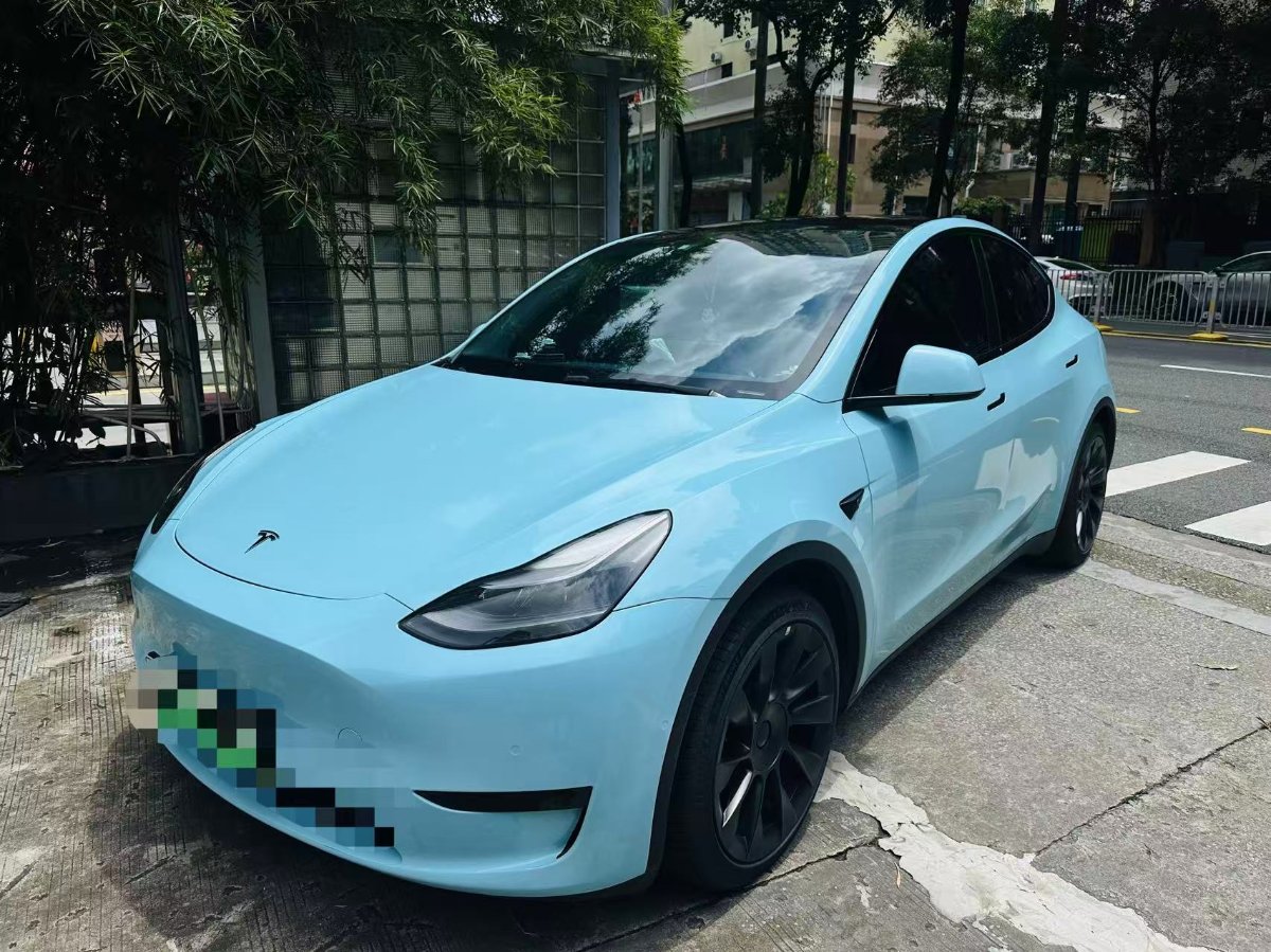 Tesla Model Y 2022 Tesla Model Y 2022 car image